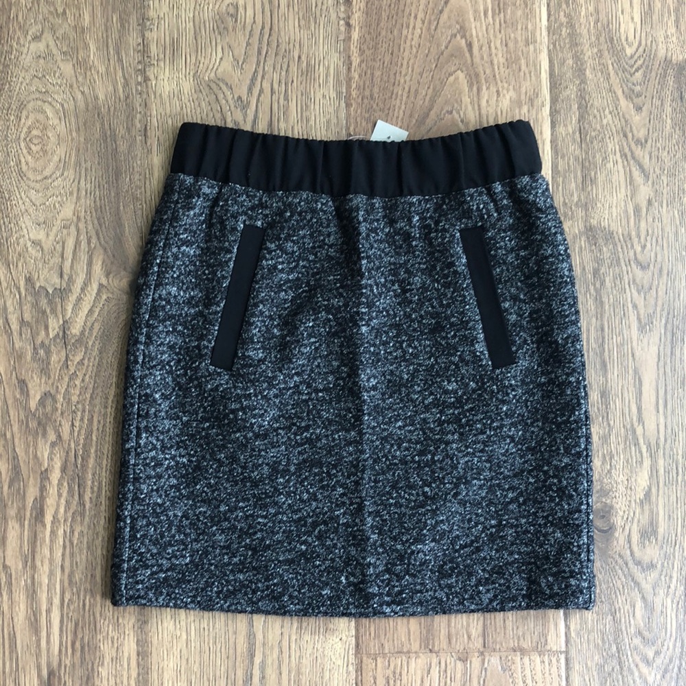 NWT Loft Skirt